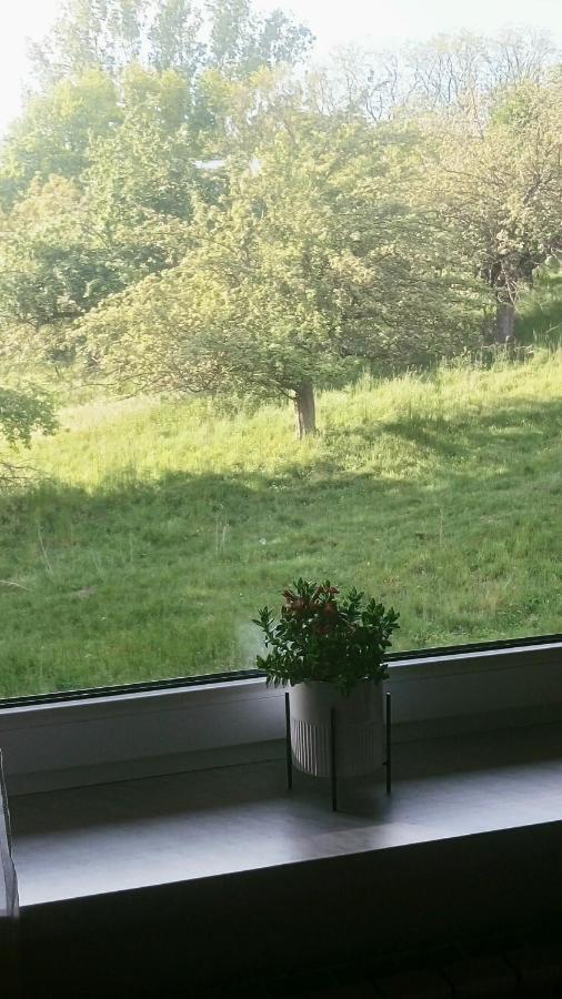 Przylesie Homestay